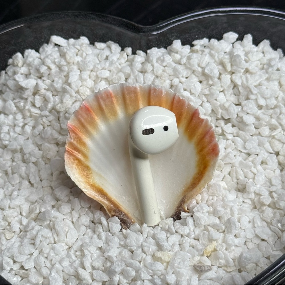 Wireless Earbud in Shell Display plus free shipping